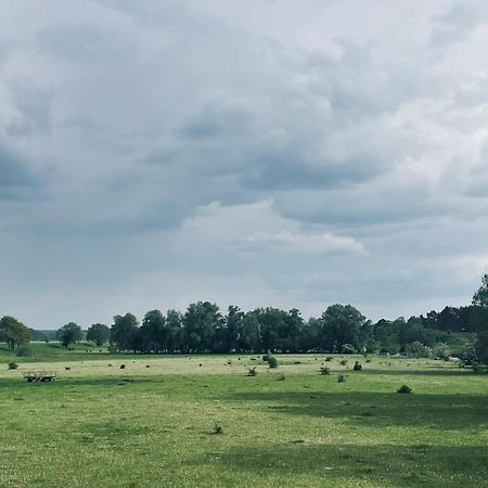 Ferienwohnungen Stolzenhagener 7 Lunow-Stolzenhagen 外观 照片