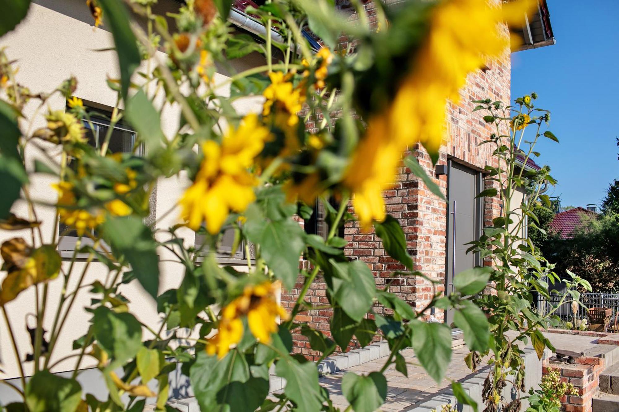 Ferienwohnungen Stolzenhagener 7 Lunow-Stolzenhagen 外观 照片